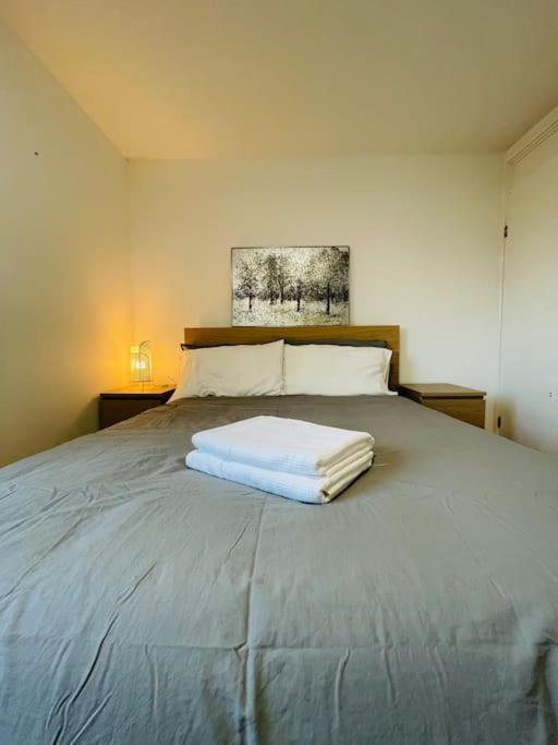 Lovely Duplex Apartment In Edinburgh City Centre Exterior foto